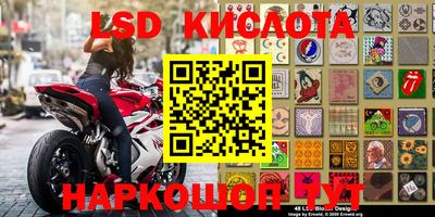ПСИЛОЦИБИНОВЫЕ ГРИБЫ Заводоуковск